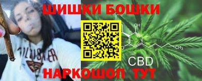 сатива Усть-Илимск