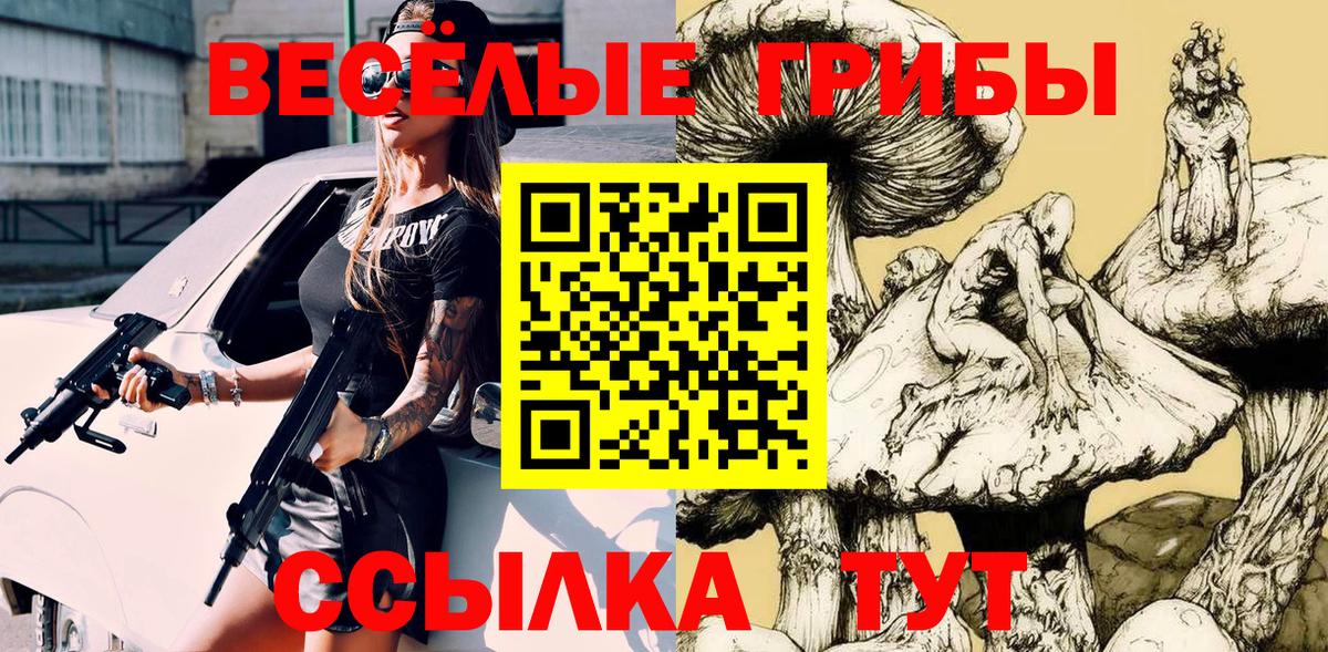Псилоцибиновые грибы Magic Shrooms  Вход с VPN  даркнет сайт  Псилоцибиновые грибы GOLDEN TEACHER  Артём 